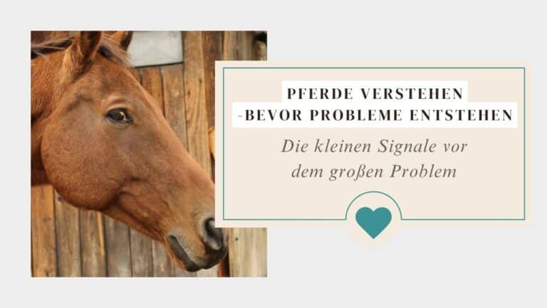 Pferdesignale erkennen: Wie leise Pferde sprechen
