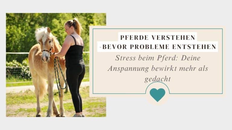 Stress beim Pferd: Der unbewusste Einfluss deiner Anspannung