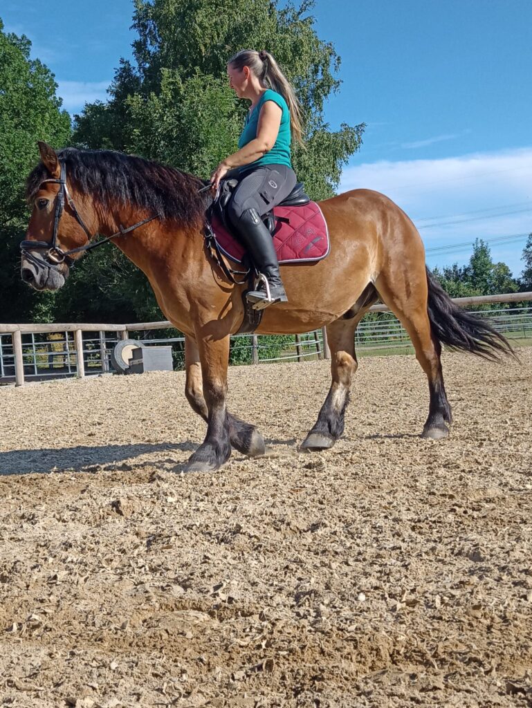 Anspannung beim Reiten: Warum Dein Pferd mehr spürt als Deine Hilfen