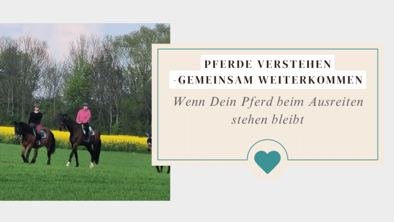 Wenn Dein Pferd bleibt beim Ausreiten stehen