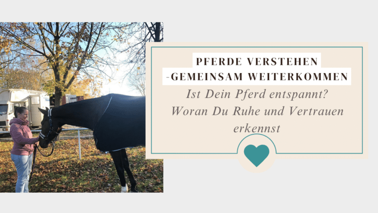 Ist dein Pferd entspannt – Woran du Ruhe und Vertrauen erkennst