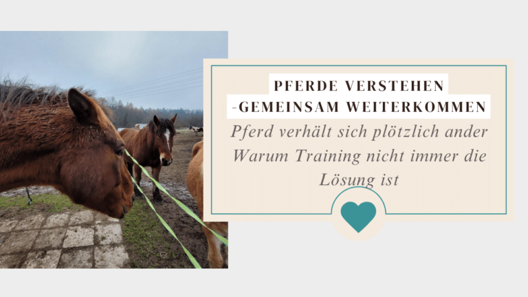 Pferd verhält sich anders
