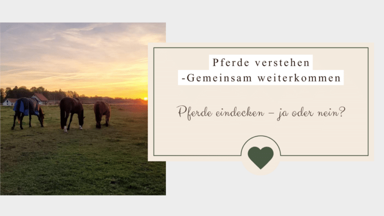 Pferde eindecken - ja oder nein? - Was dein Pferd dazu sagt und was die Wissenschaft weiß